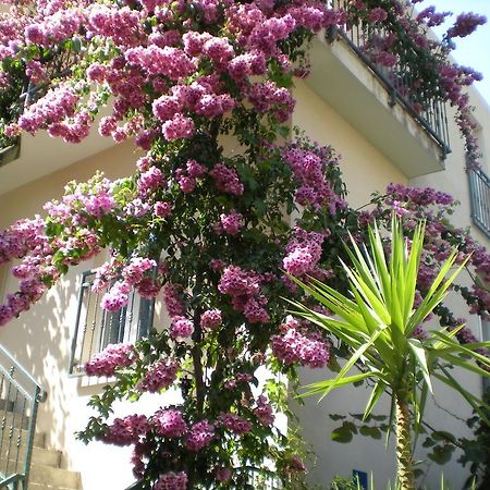 Apartments Marino Drvenik  Εξωτερικό φωτογραφία